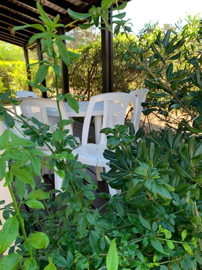 Cabanas Del Este Sauce de Portezuelo Zewnętrze zdjęcie